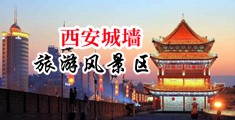 欧美黑鸡吧中国陕西-西安城墙旅游风景区